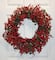 Worth Imports 22" Red Holly Berry and Green Leaves Artificial Christmas Wreath on Natural Twig Base